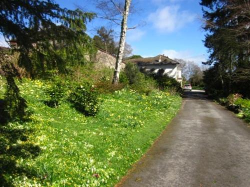 Gunnislake Sandhill House Country House Retreat المظهر الخارجي الصورة