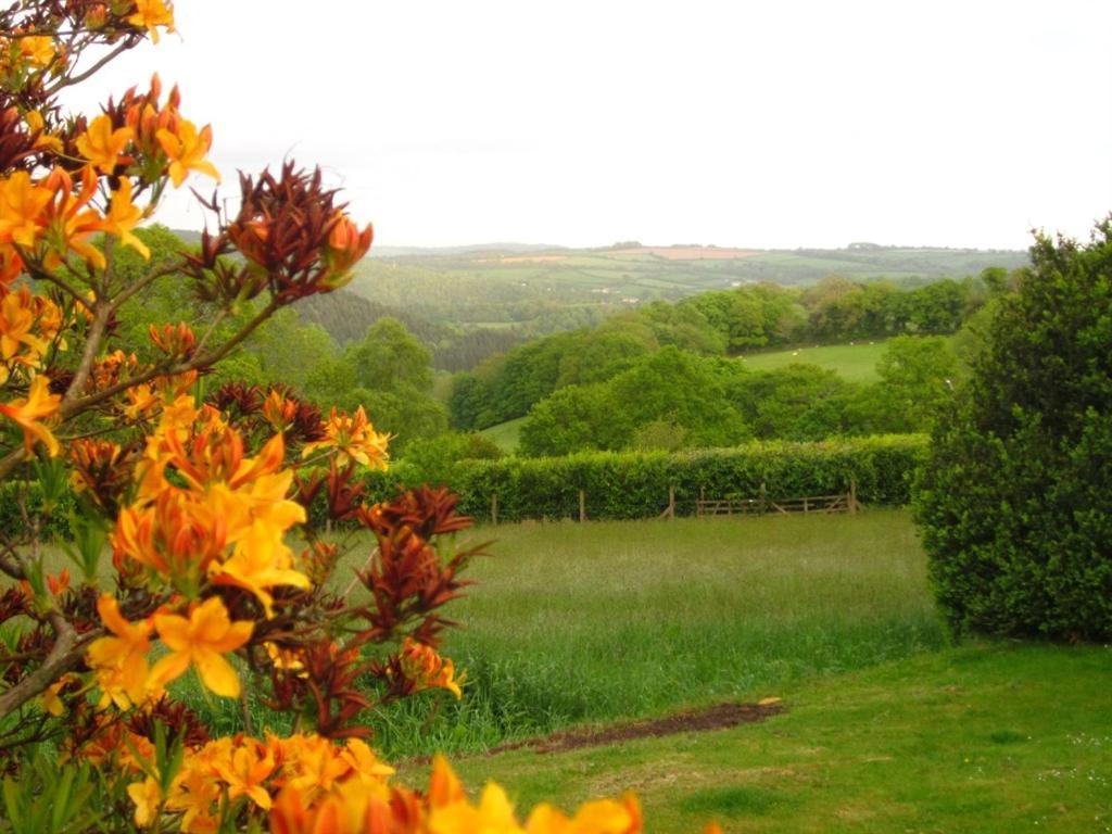 Gunnislake Sandhill House Country House Retreat المظهر الخارجي الصورة