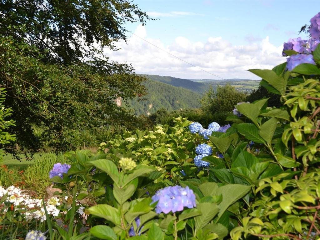 Gunnislake Sandhill House Country House Retreat المظهر الخارجي الصورة
